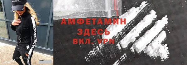 мет Дмитриев