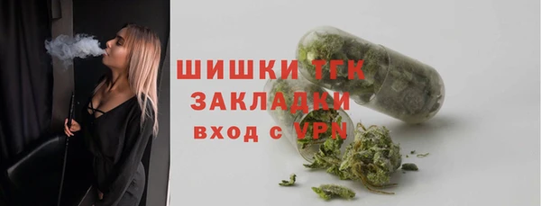 мет Дмитриев