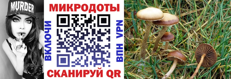 Купить  Карабаново  Псилоцибиновые грибы Magic Shrooms 